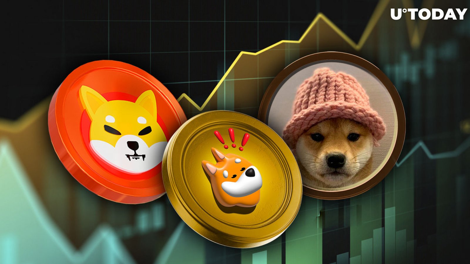 The sudden price increases of SHIB, BONK and WIF;  What's behind them?