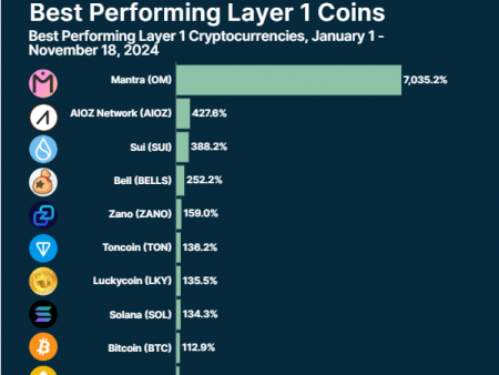 Best performing Tier 1 networks in 2024: CoinGecko report