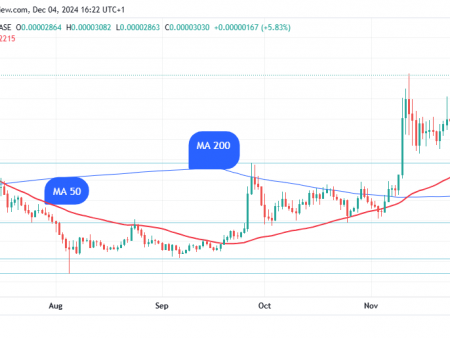 SHIB 10.43 trillion in 24 hours: Shiba Inu price suddenly rises by 7%