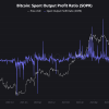 Bitcoin held by short -term traders reaches the lowest level since mid -November 2024