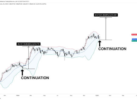 Bitcoin price above $ 100,000 prolongs hope, the analyst reveals the top cycle