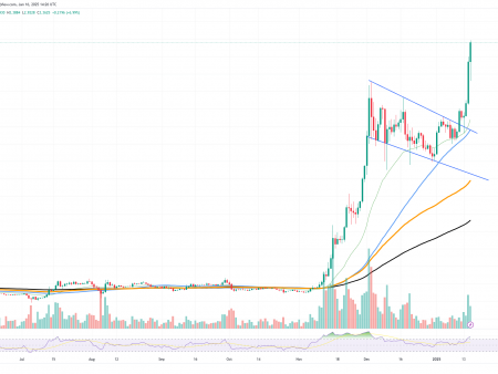 XRP is above 3 dollars: the next target in the line, Shiba Iu (Shiba), who does not show anything, Solan (Sol) on the verge again becoming bullies again