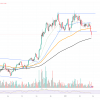 Bitcoin (BTC) at an annual low level, Shiba Inu (Shib), which falls under aggravating circumstances, SOLANA (SOL) is too close to $ 100