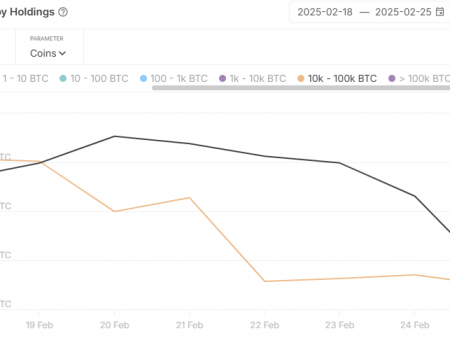 Bitcoin Mega Whales the main sellers during the Price accident, an analytical company discloses