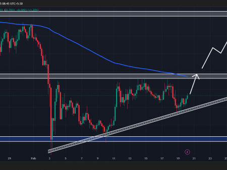 Cardano price forecast (ADA) for February 20