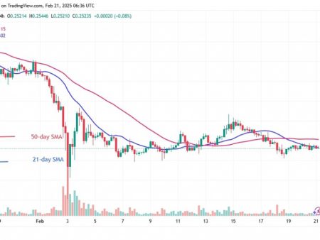 Dogecoin remains above $ 0.24, but risks decreasing