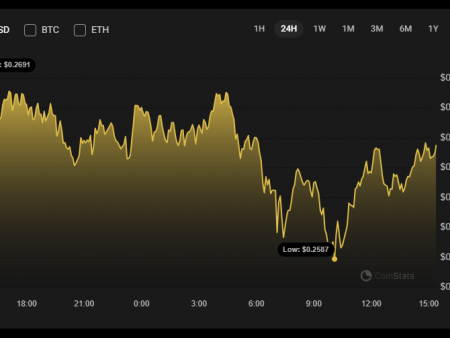 Price forecast until February 17