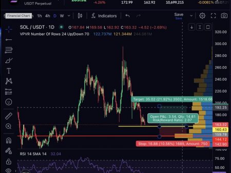 Pricing Forecast February 25: Solana will go further? – Trader