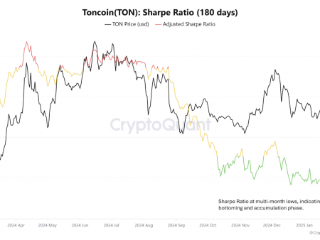 The Toncan price will bounce? Accumulation signals when returning