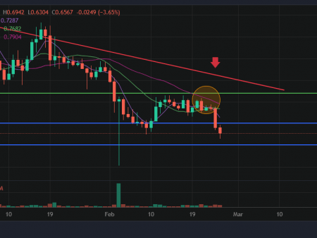 The prediction of the price of Kardano: ADA crashed a lot, but it can be further!