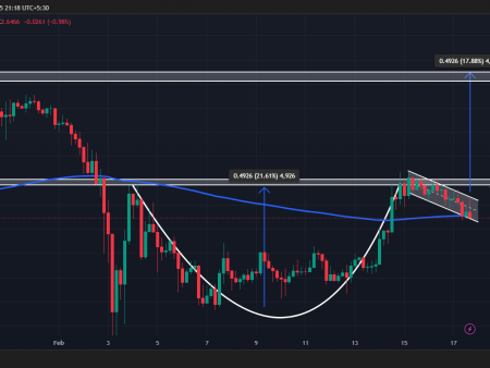 The price of an X -ray price set up at a 20% rally when whales buy 60 -meter tokens