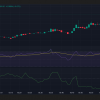 XDC Bulls is faced with a resistance at 0.092 dollars – will there be an impulse?