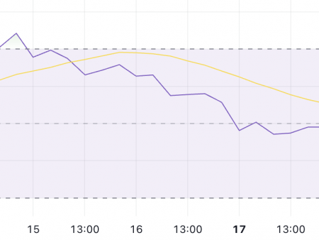 XRP remains stuck below 3 dollars, as whale numbers are slightly reduced