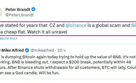 🔥Peter Brandt: CZ and Binance are a global SCAM