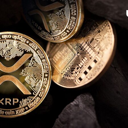 XRP Price Reaches Adamantium Support Level: From Here?