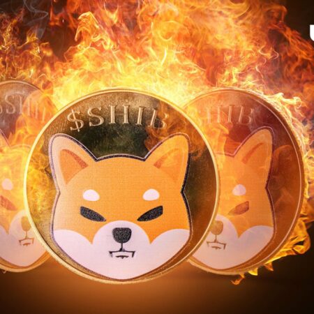 Shiba Inu (SHIB) Burn Rate Rises Once Again, Could Price Move?