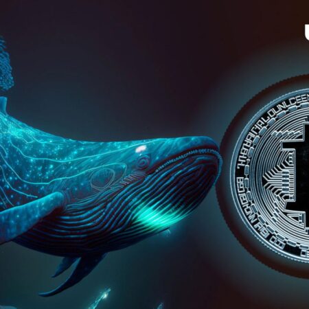 Bitcoin (BTC) Whale Balance Reaches New Milestone: Details