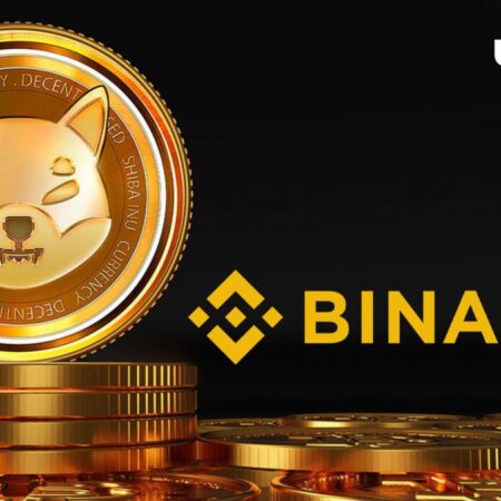 144 Billion Shiba Inu (SHIB) Transfer Spotted on Binance: Details