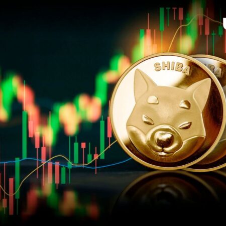 Shiba Inu (SHIB) Set for 12% Price Rise