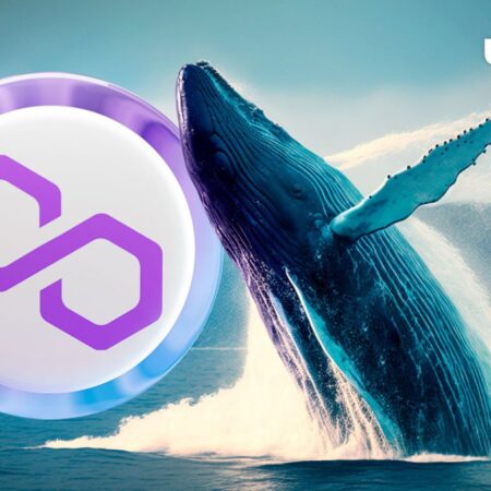 Polygon (MATIC) Price Reacts to 3,800% Increase in Whale Activity: Details