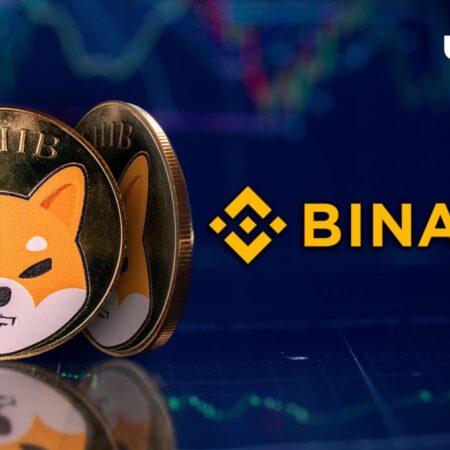 536 Billion Shiba Inu (SHIB) Transferred by Binance: What’s Happening?