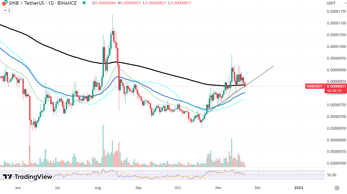 SHIBUSDT Chart