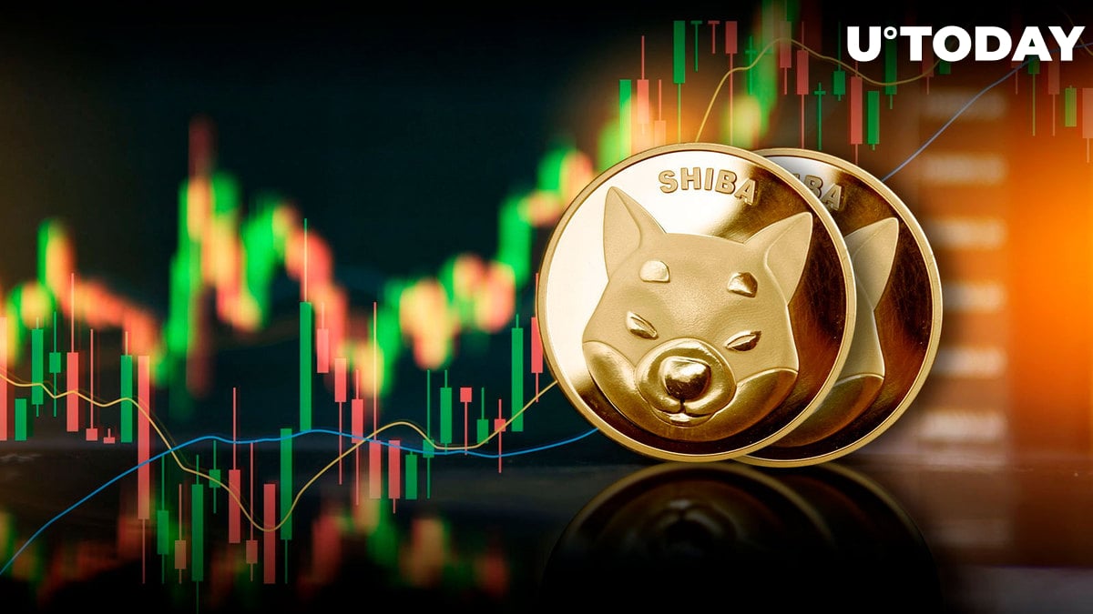 Shiba Inu (SHIB) Set for 12% Price Rise