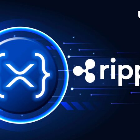 RippleX Provides $1.3 Million Support to These High Potential FinTech XRPL Projects