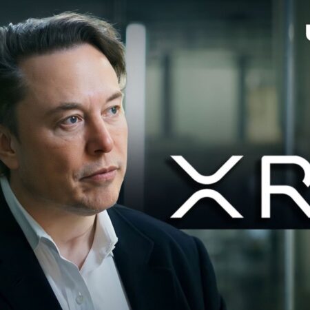 Elon Musk’s Tweet Triggers Bullish Response From XRP Army