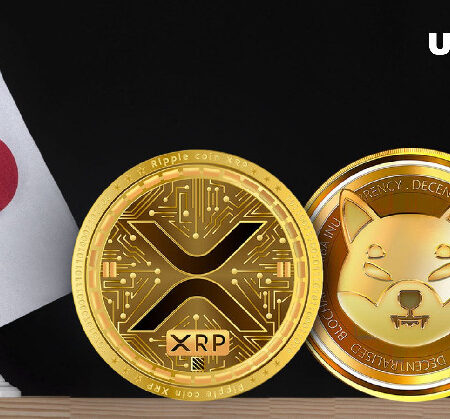 Major XRP and SHIB Announcement Made by Japanese Crypto Exchange