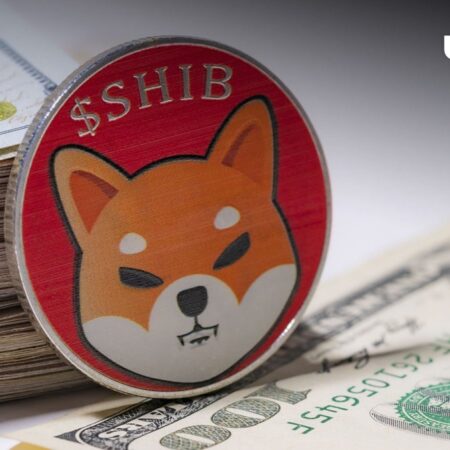 Shiba Inu’s Shibarium debuts new feature