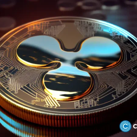 How XRP Holders Are Different From BTC Holders: Analyst Explains