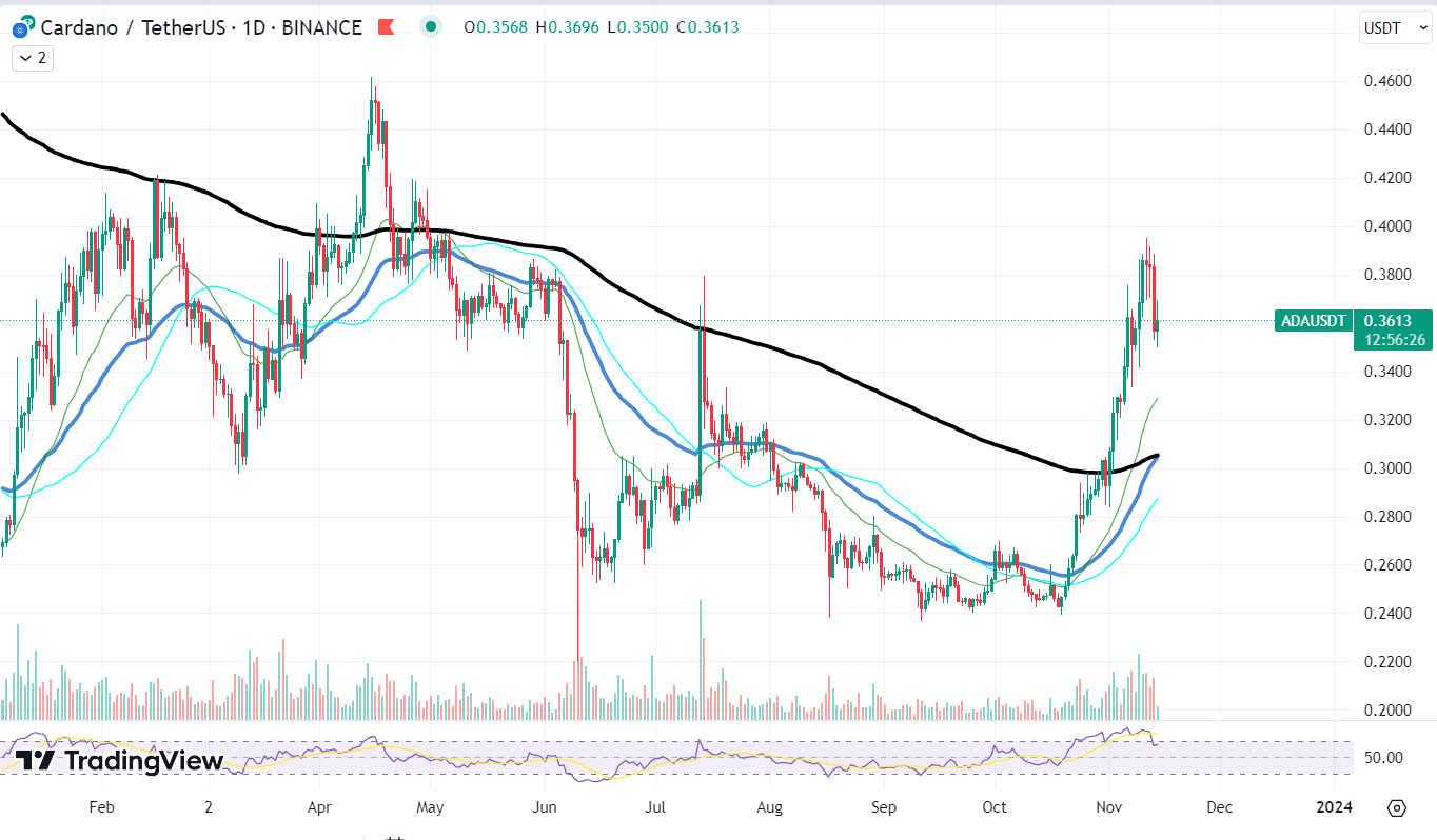 cardano chart