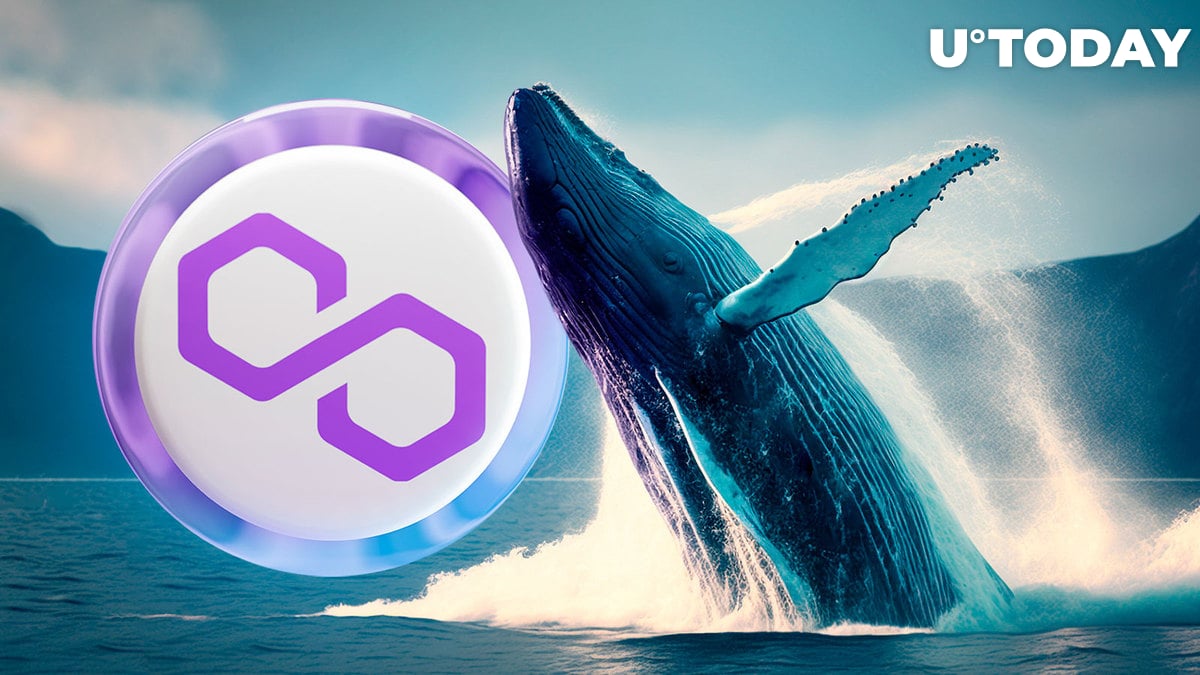 Polygon (MATIC) Price Reacts to 3,800% Increase in Whale Activity: Details