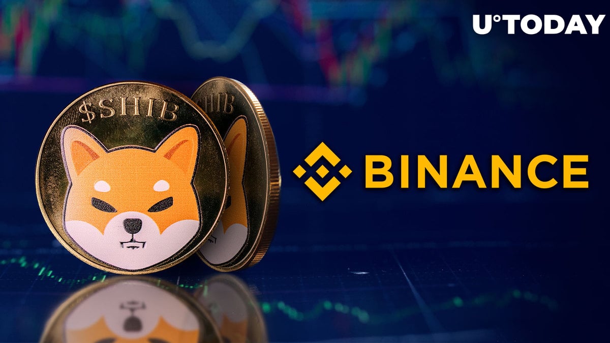 536 Billion Shiba Inu (SHIB) Transferred by Binance: What's Happening?