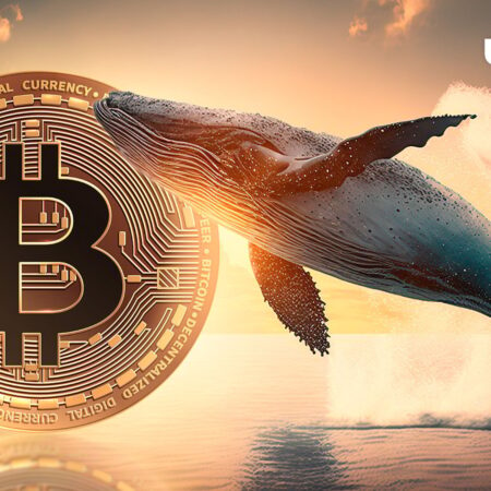 Bitcoin Whale Goes on Massive Sell-Off