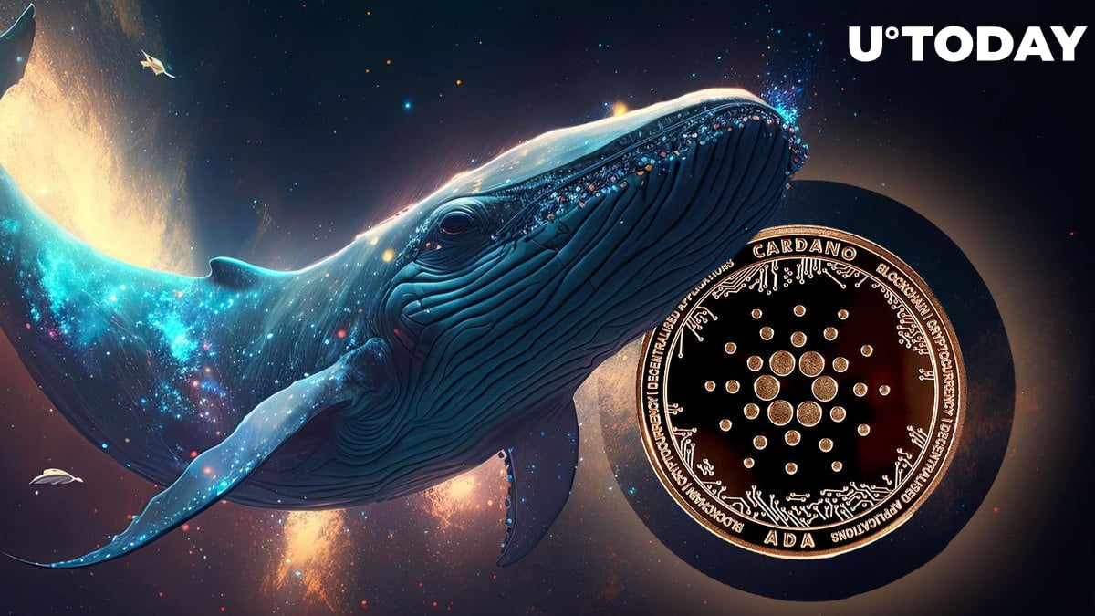 Cardano (ADA) Whales are going crazy: What's happening?