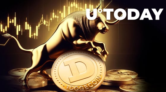 Dogecoin 250% Volume Spike Excites DOGE Bulls, Levels to Watch