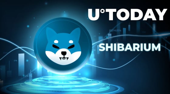 Shiba Inu's Shibarium Soars 140% in Trading Activity