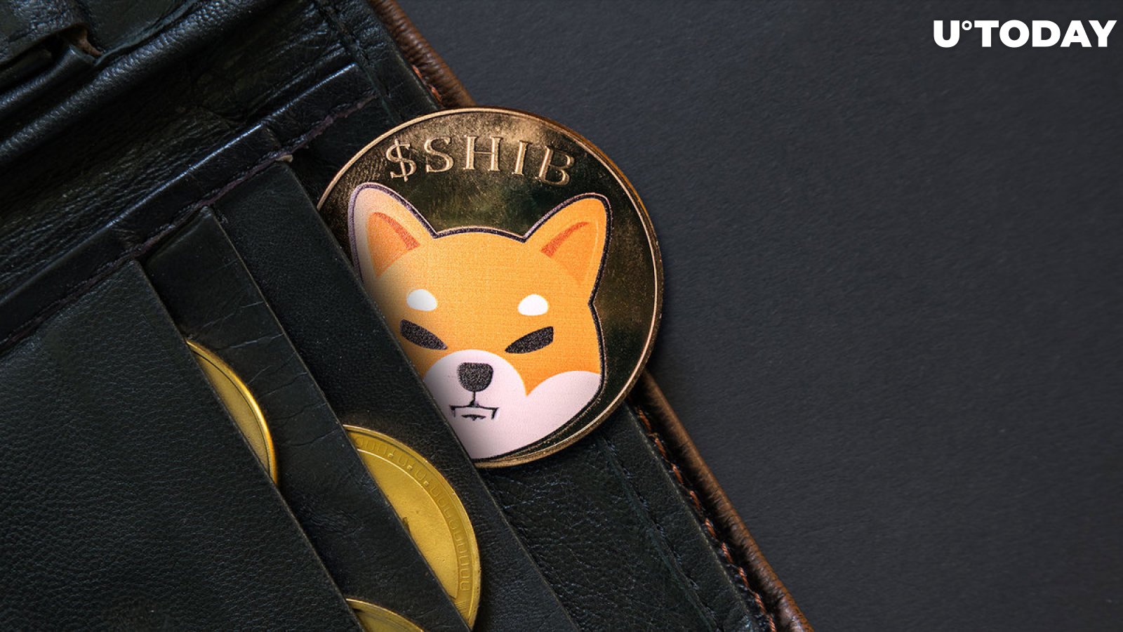 382 Billion SHIB Mysteriously Relocated as Shiba Inu Price on the Edge