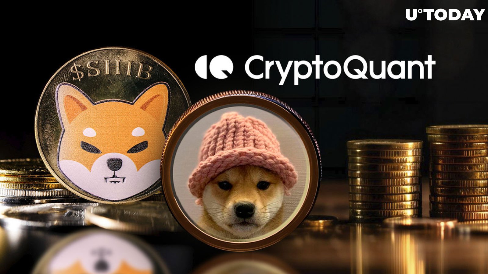 'Meme coins hurt crypto industry,' says CryptoQuant CEO amid SHIB and WIF brouhaha
