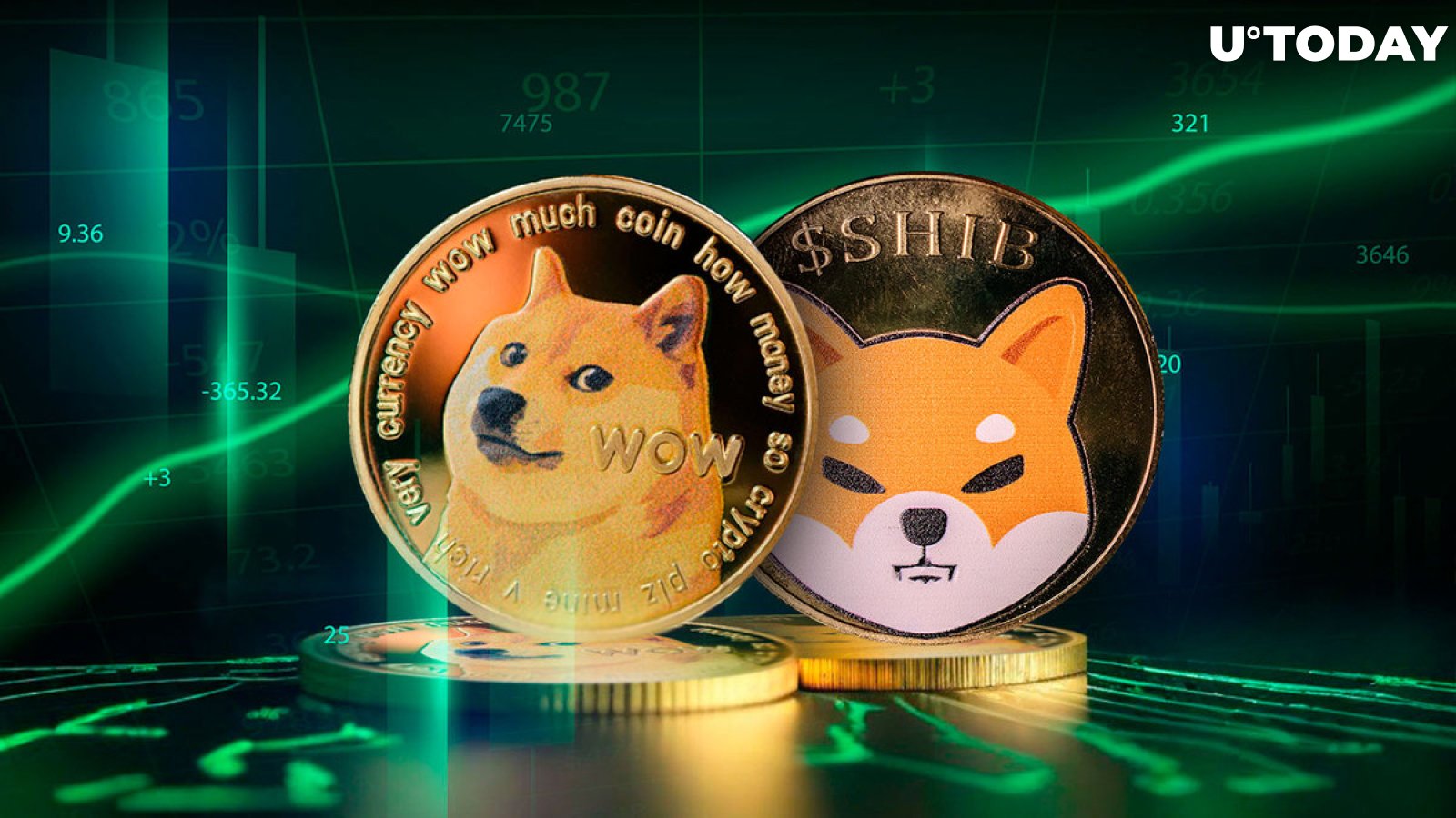 Shiba Inu (SHIB) and Dogecoin (DOGE) Lead Meme Coin Inflow of $80 Billion