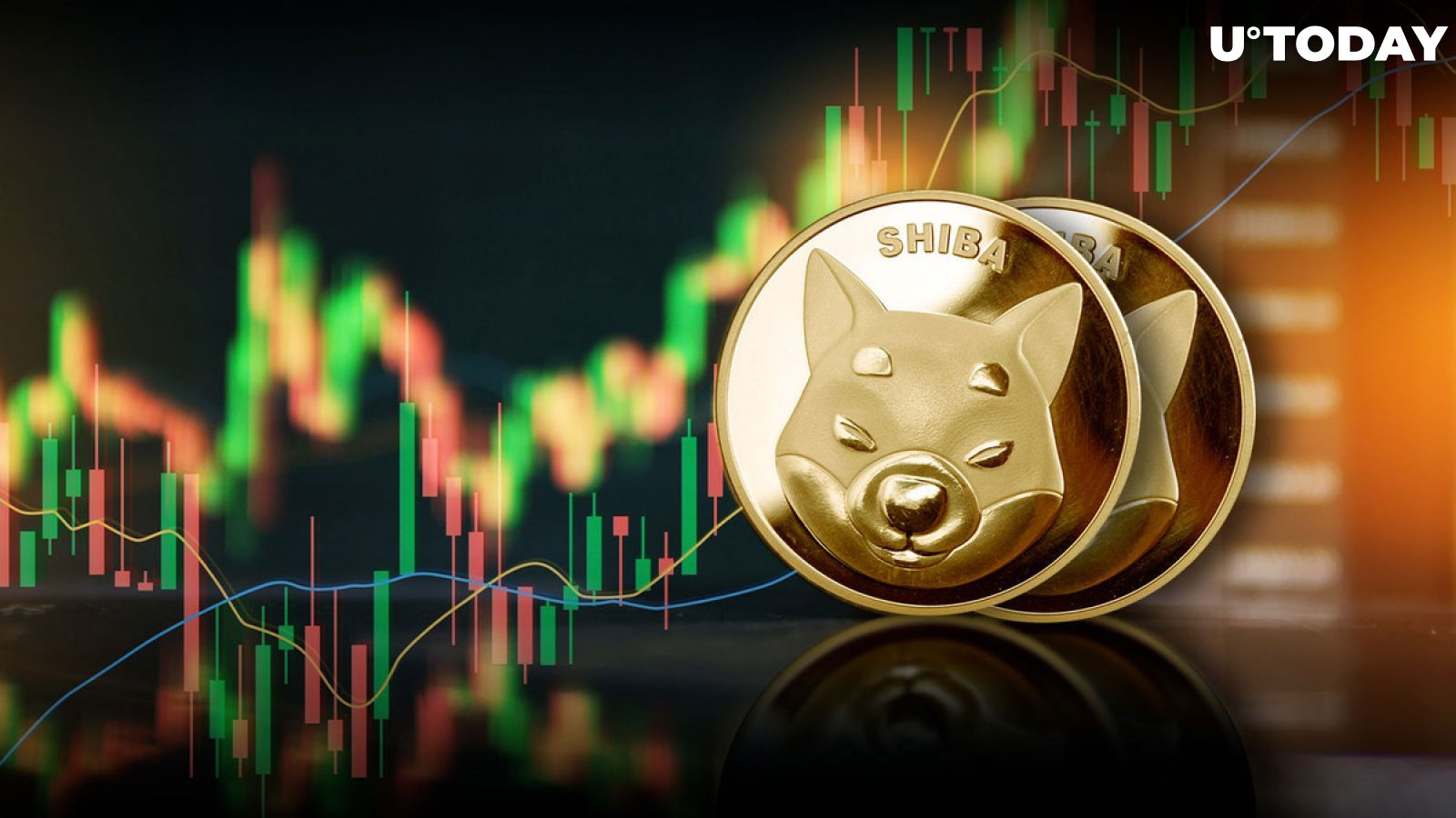 Shiba Inu generates 1,104% in inflows as SHIB price hits two-year high