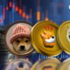 Meme coins lose value: BONK, WIF and DOGE under pressure