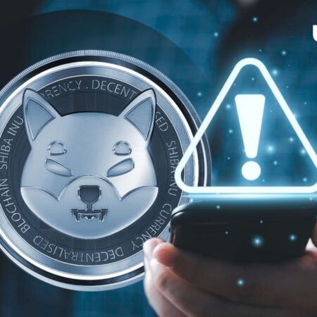 Crucial warning issued about Shiba Inu as major developments awaited;  What concerns