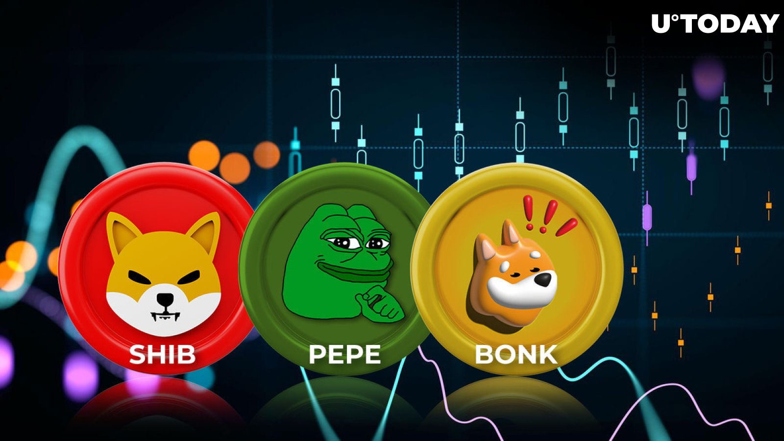 SHIB, PEPE, FLOKI, BONK: Meme Coins among the best artists