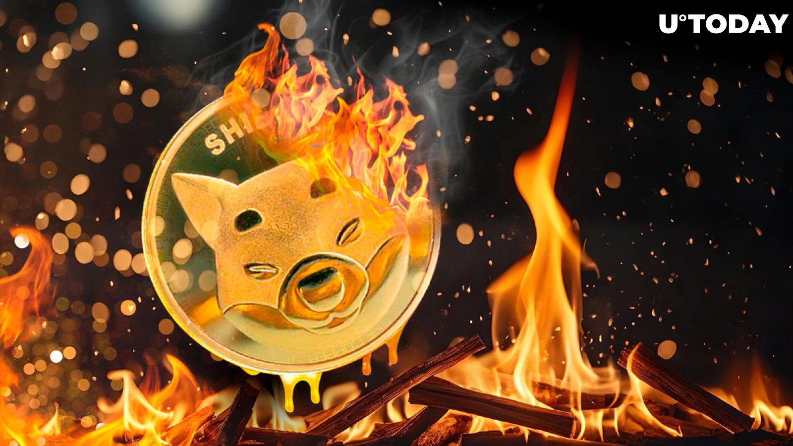 SHIB goes up in flames after Shiba Inu team performs hard fork
