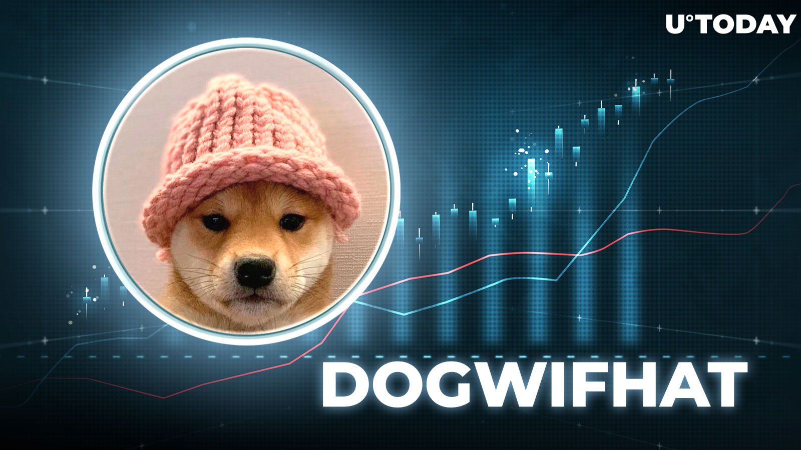 Solana-based Dogwifhat and Dogecoin trim gains as Bitcoin struggles to regain $64,000