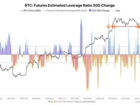 Bitcoin Leverage Growth: BTC to $50,000 or $60,000?