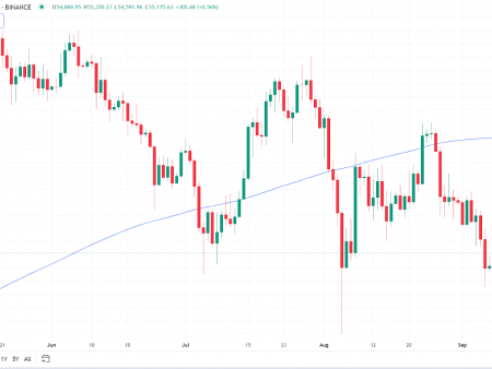 Bitcoin Price Analysis: Will BTC Recover After This Shocking Drop?